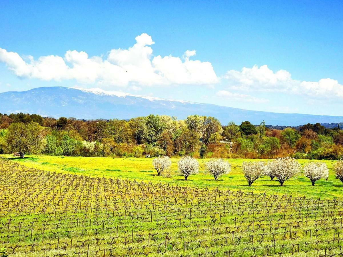 Domaine De La Brave Bed and Breakfast Pernes-les-Fontaines Εξωτερικό φωτογραφία
